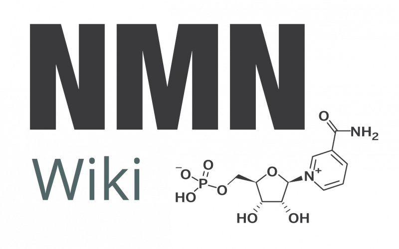 Nmnwiki logo.png